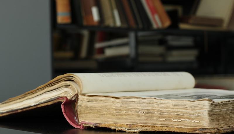 Naturalismo francese e i fratelli Goncourt articolo