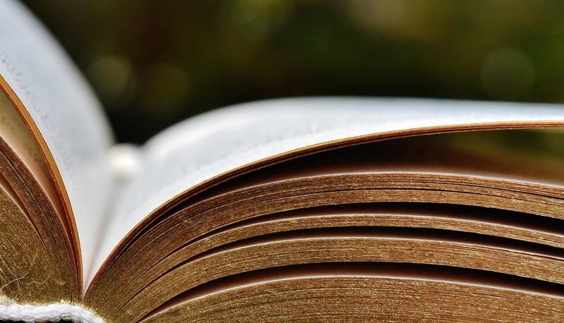 Evoluzione della letteratura e società nel Medioevo articolo