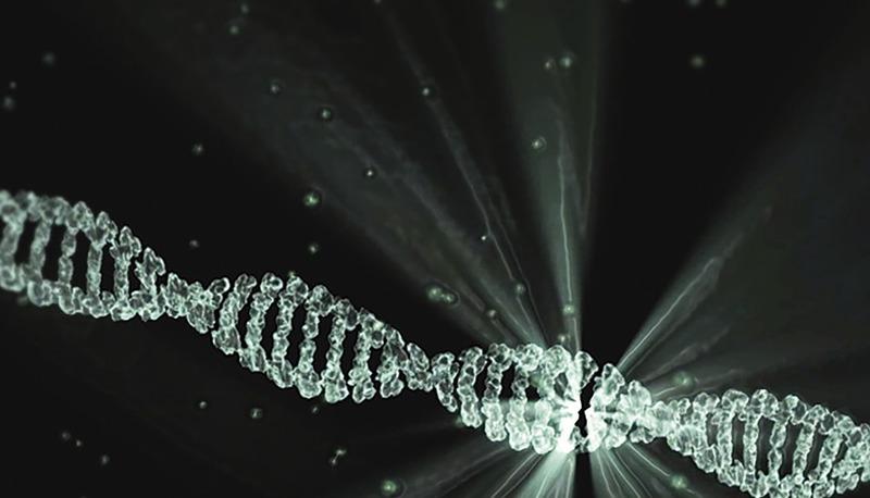 Analisi dettagliata del DNA: duplicazione, struttura e correzione errori articolo