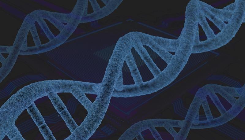 Analisi dettagliata del DNA: duplicazione, struttura e correzione errori articolo