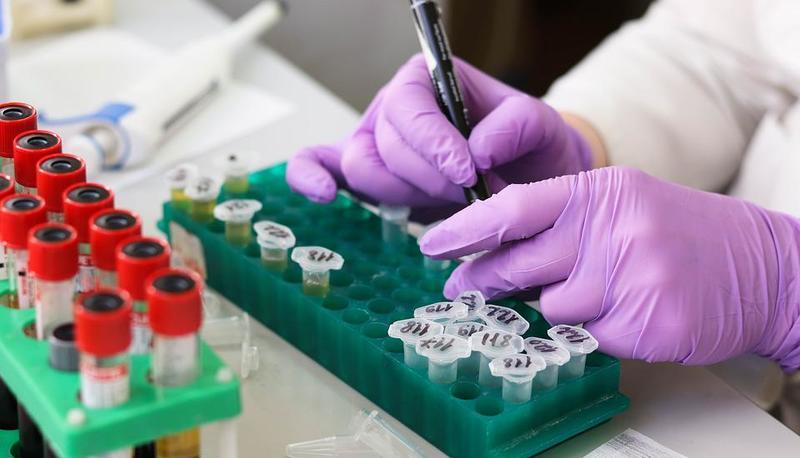 Solubilità e saturazione: definizione, formule ed esempi articolo