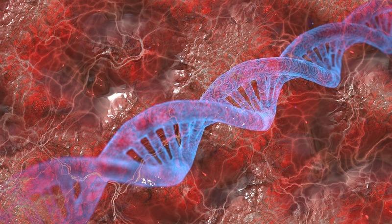Mappa concettuale del DNA: definizione e struttura articolo