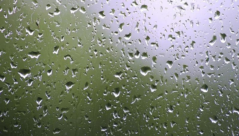 Piove di Eugenio Montale: interpretazione e analisi della poesia articolo
