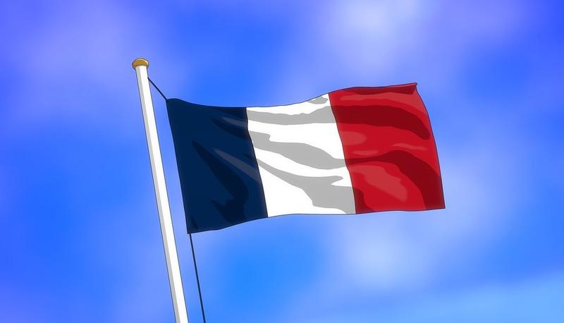 Francia articolo