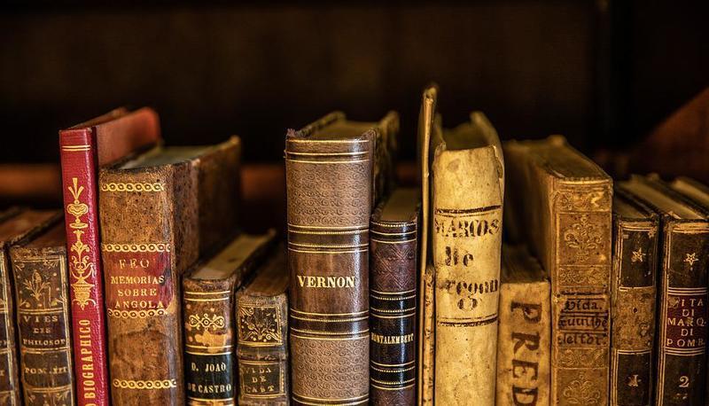 Arthur Schopenhauer: fenomeno, noumeno e velo di Maya articolo