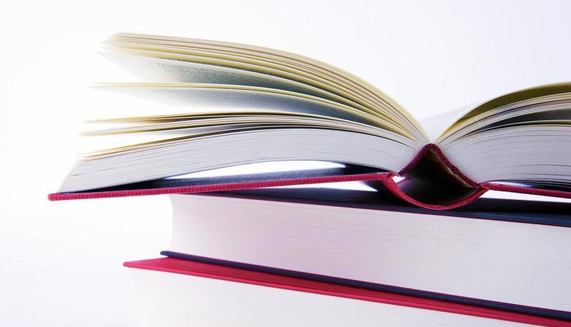 Calandrino e il maiale rubato - Riassunto e analisi della novella articolo