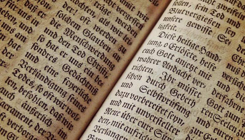 Latinismi nel cantico delle Creature di San Francesco articolo