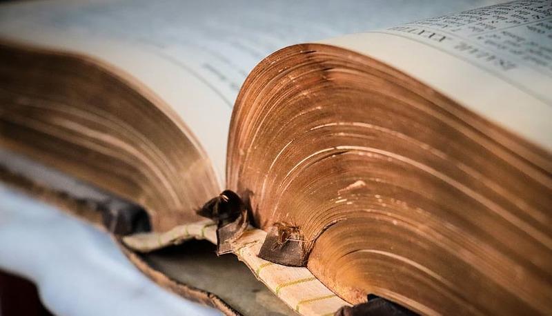 San Francesco d’Assisi - Cantico delle Creature, analisi e spiegazione articolo
