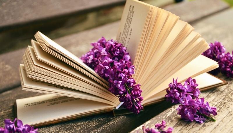 Giovanni Verga: vita, produzione letteraria e poetica articolo
