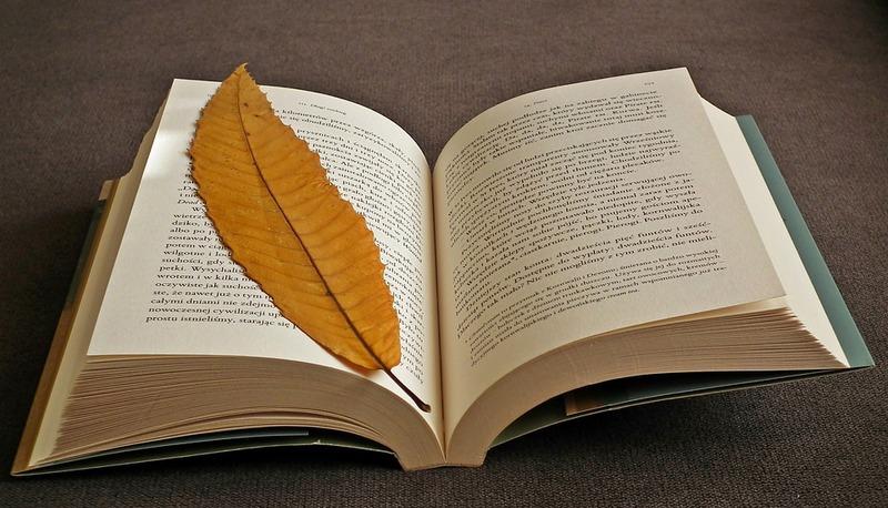Fiabe - Breve definizione ed esempio tratto da una fiaba inventata articolo