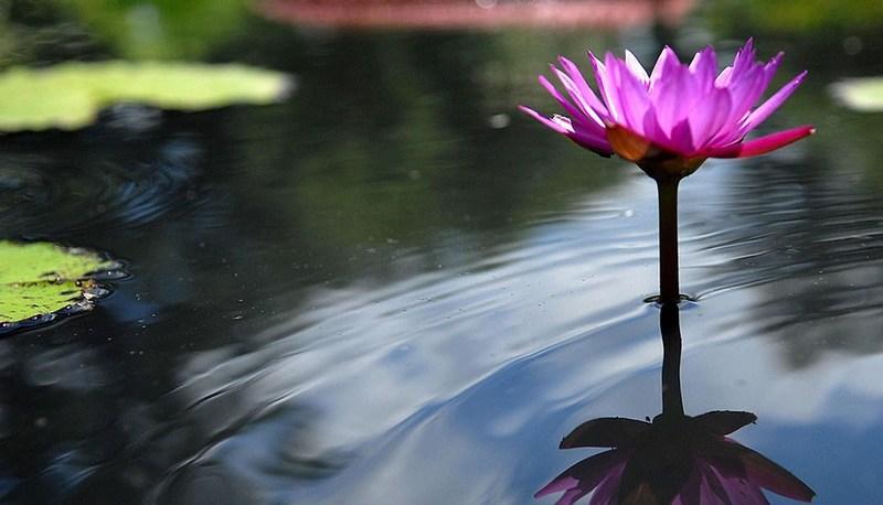 Acqua: risorsa e fonte di vita articolo