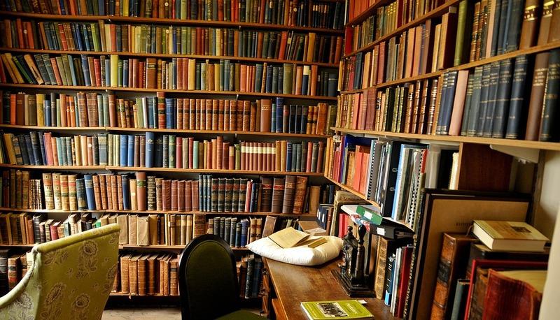 Giovanni Verga: biografia e produzione narrativa articolo