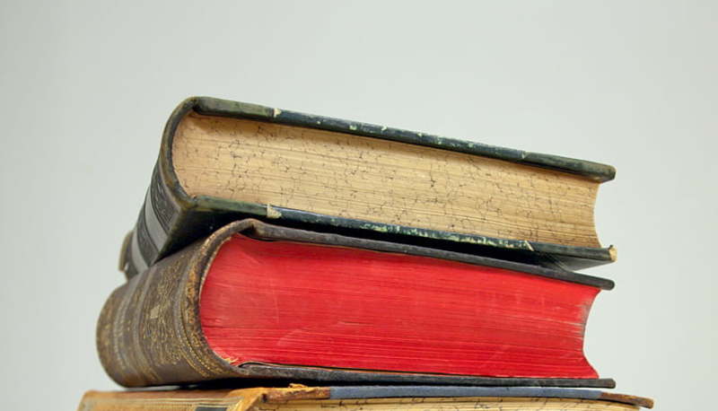 Virginia Woolf: vita e carriera letteraria articolo
