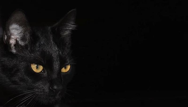 Michail Bulgakov: biografia e Il maestro e Margherita articolo