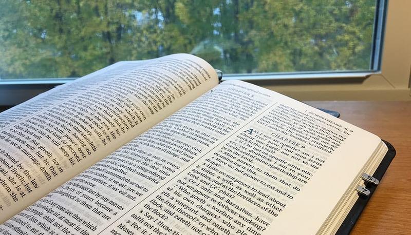Il sentiero dei nidi di ragno, Calvino: recensione articolo
