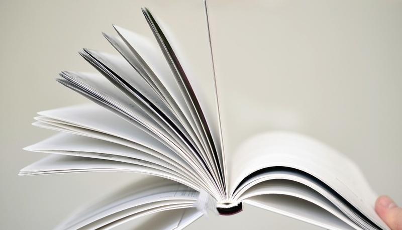 I cento passi: trama e aspetti principali articolo