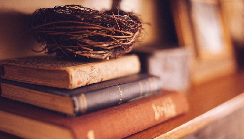 Riflessioni sulla mafia e esperienza nell’aula bunker: tema articolo