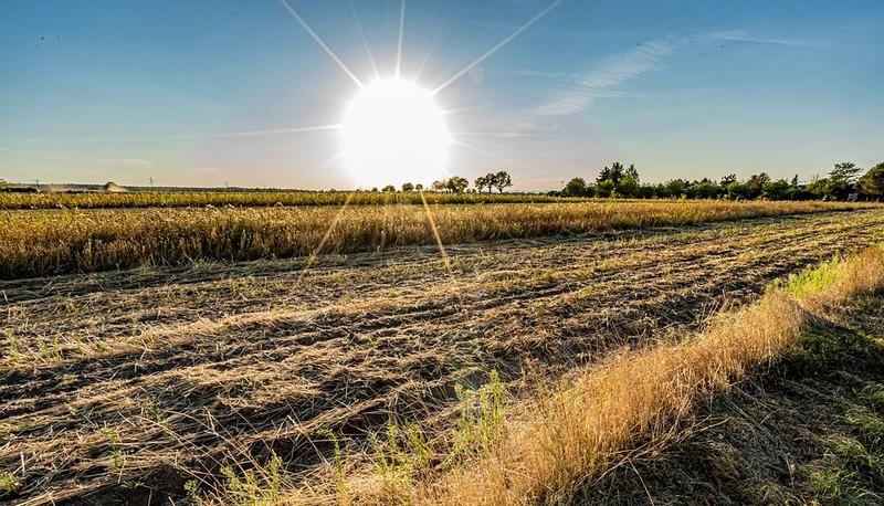 La Sociologia dell’Ambiente e del Territorio articolo