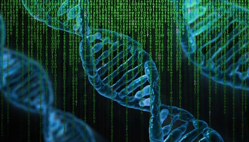 Processi di duplicazione del DNA e divisione cellulare nell'interfase articolo