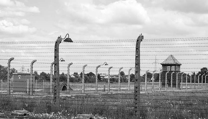 Analisi del Nazismo e delle sue conseguenze storiche in Europa articolo