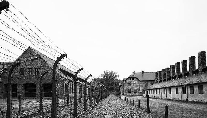Analisi del Nazismo e delle sue conseguenze storiche in Europa articolo