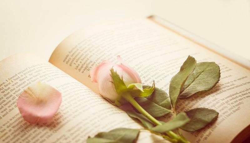 Testo poetico: analisi articolo