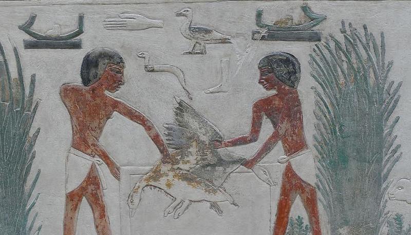 La decifrazione dei geroglifici e il ruolo della Stele di Rosetta articolo