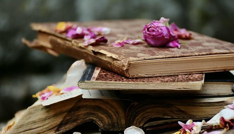 Vita e opera di Marguerite Yourcenar articolo