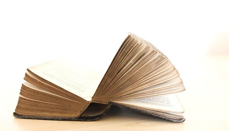 Le caratteristiche del soggetto in Grammatica articolo