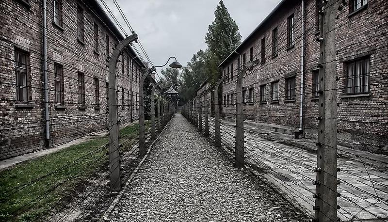 Recensione e analisi del libro "Se questo è un uomo" di Primo Levi articolo