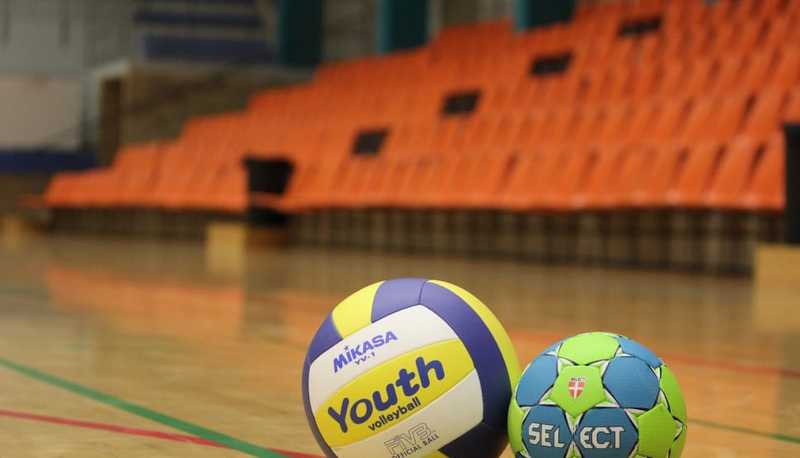 Pallavolo articolo