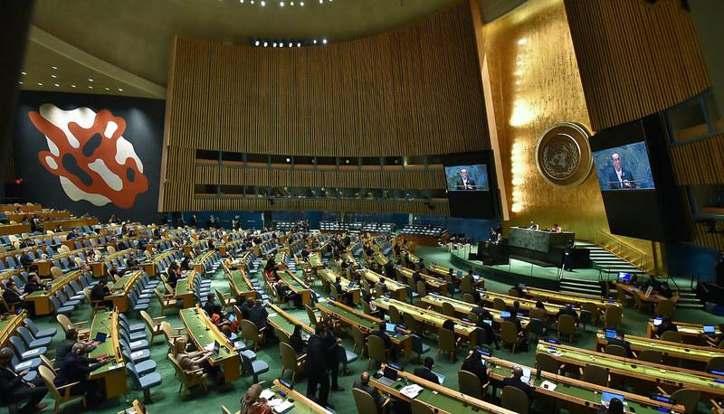Le Agenzie delle Nazioni Unite: Ruoli e Obiettivi Globali articolo