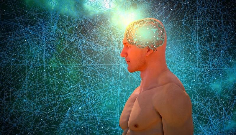 Intelligenza - Descrizione articolo