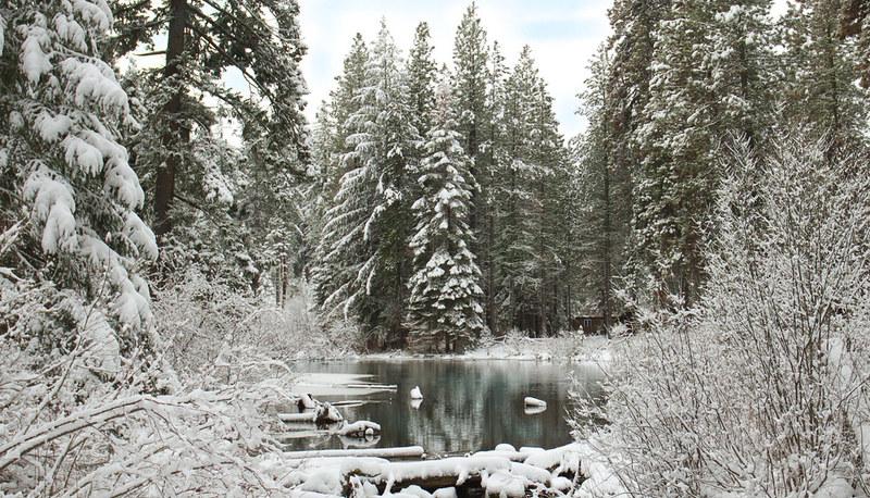Analisi e Simbolismo della Poesia 'Nevicata' di Giovanni Pascoli articolo