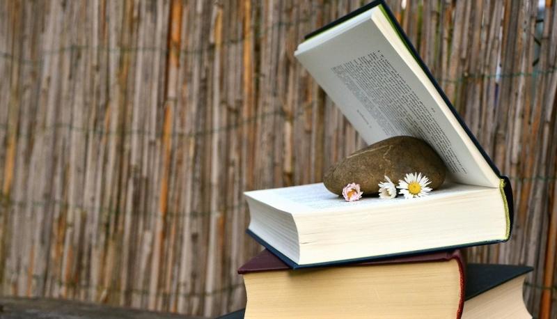 Oliver Twist - Charles Dickens (3) articolo