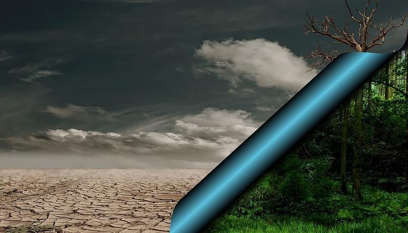 Cambiamenti della temperatura media globale: cause, effetti e previsioni future articolo