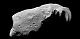 asteroide.png