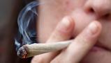 Cannabis: consumi in crescita e legalizzazioni