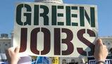 Green jobs, il futuro dei giovani è verde
