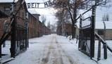 Auschwitz: storia, tragedia e memoria del campo di concentramento