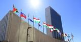 Stage all'ONU di New York per studenti universitari: ecco come candidarsi