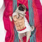 Il cane che vive la vita da essere umano: 11 FOTO