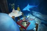 Una notte tra gli squali: su Airbnb arriva la prima stanza sott’acqua dentro l’Aquario di Parigi