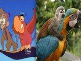 11 immagini inquietanti che dimostrano che i personaggi Disney esistono davvero