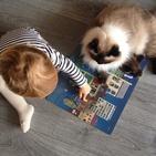 20 foto che provano come i bambini abbiano bisogno di un gatto!