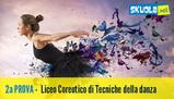Soluzione seconda prova Maturità 2016 liceo coreutico di Tecniche della danza