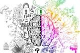 Dimmi che cervello hai e ti dirò chi sei