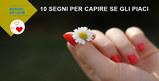 Come capire se gli piaci? Ecco 10 segni