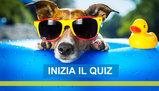 Che tipo sei in vacanza? Scoprilo con il quiz