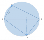 Problemi con equazioni e sistemi di I e II grado: Nella circonferenza di diametro  \bar{BD}  sono inscritti i triangoli  ABD  e  BDC .....
